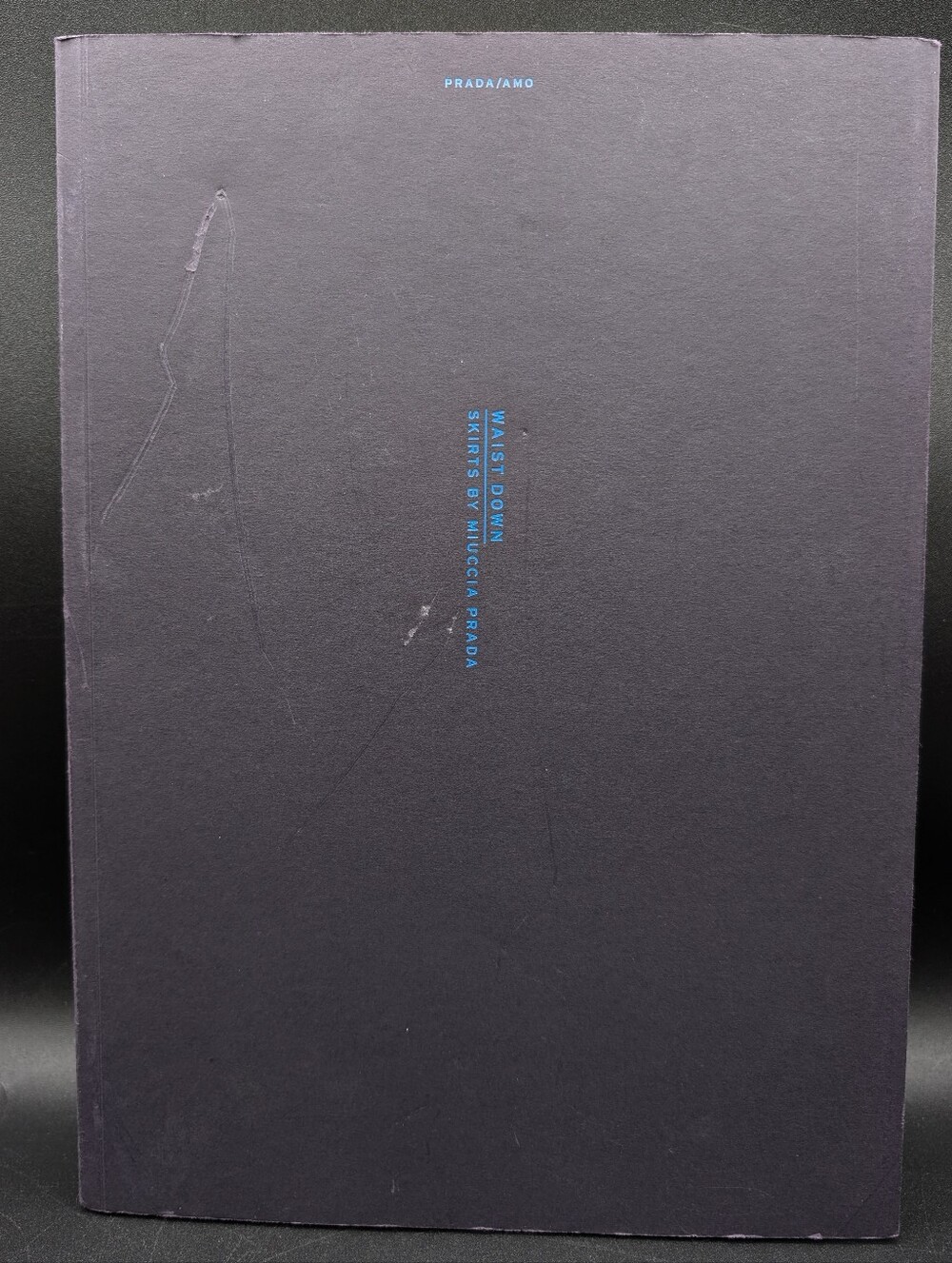 Waist Down; Skirts by Miuccia Prada. 1st Edition, 2004